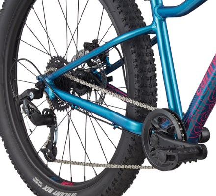 Cannondale trail best sale 8 rei