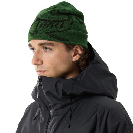 Arc'teryx Bird Head Toque Beanie 3