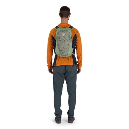 Osprey Daylite Pack Special Edition 9