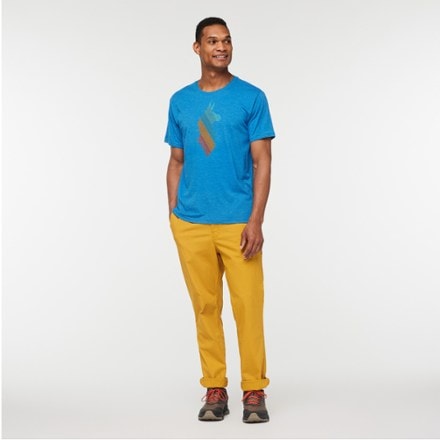 Cotopaxi Llama Stripes T-Shirt - Men's 3