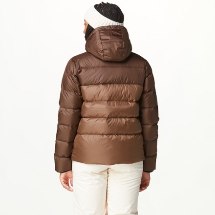 Picture Organic Clothing High Puff Down Jacket - Women's 2