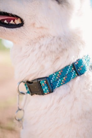 Wilderdog Rope Reflective Collar 5