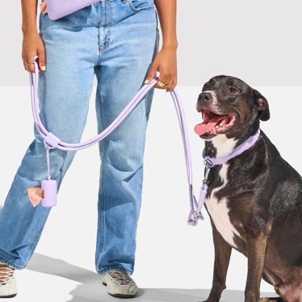 Wild One Hands-Free Dog Rope Leash Poop bag carrier not included