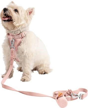 Wild One Waterproof Dog Leash Harness and poop bag carrier not included