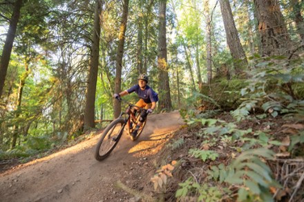 Location Image for DRT 3.3 Mountain Bike