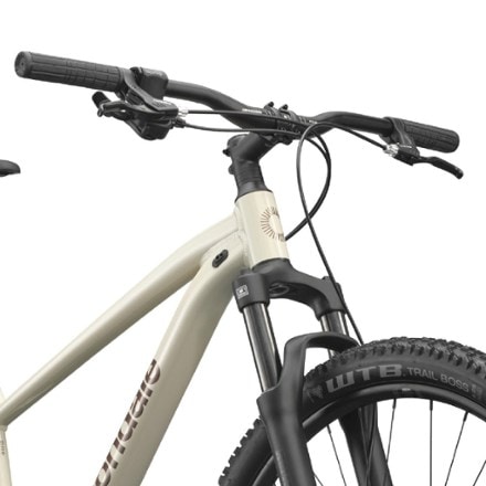 Cannondale Trail 3 Mountain Bike 9