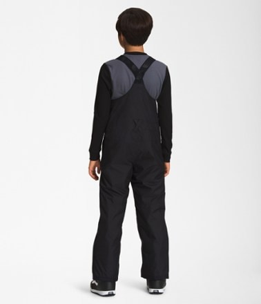 The North Face Freedom Insulated Bib Snow Pants - Boys' 1