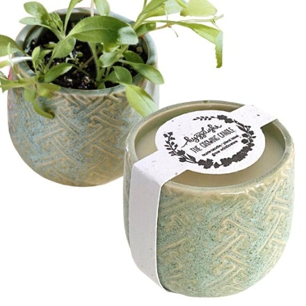 Hyggelight- The Growing Candle Ida Candle - Rosemary/Sage Scent 1