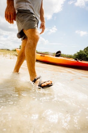 Xero Shoes Z-Trail EV Sandals - Men's 6
