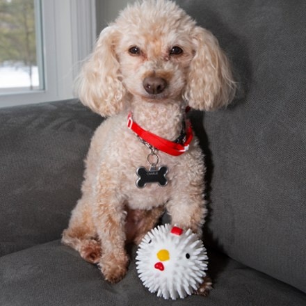 Kikkerland Chicken Dog Ball 2