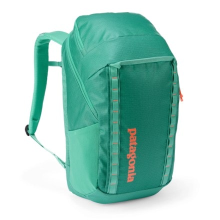 Patagonia Black Hole Pack - 32 L 0