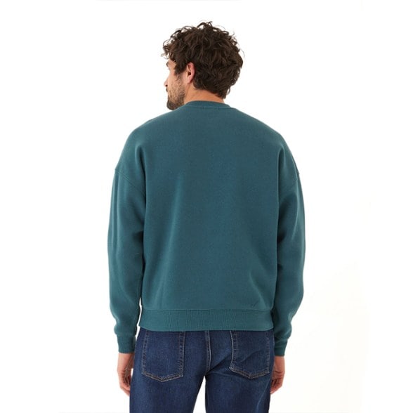 On Body Image of color Peacock