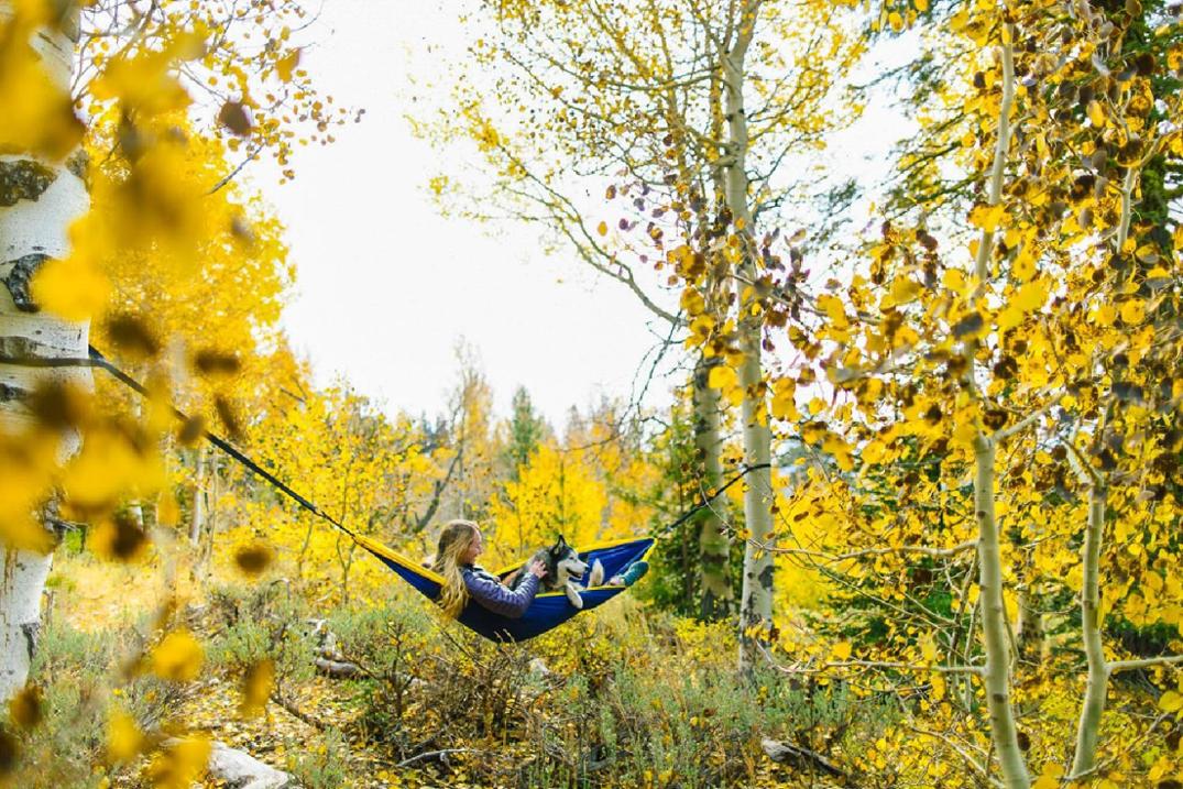 Location Image for Atlas Hammock Suspension System