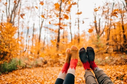 Darn Tough Treeline Micro Crew Socks - Women's 4