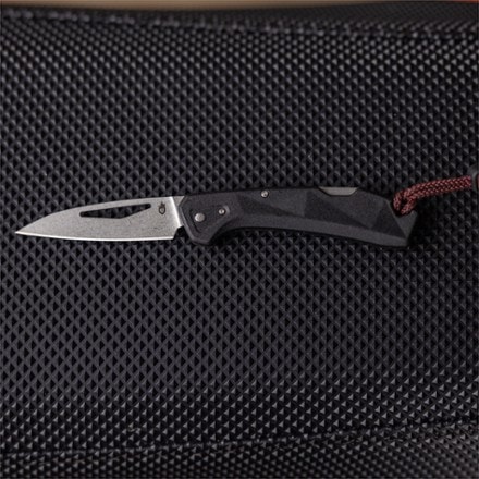 Gerber LST Mini Folding Knife 7