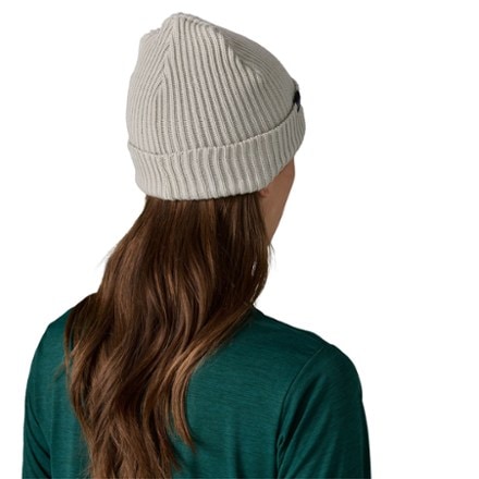 Patagonia Fisherman's Rolled Beanie 1