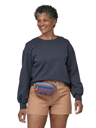 Rei patagonia fanny discount pack