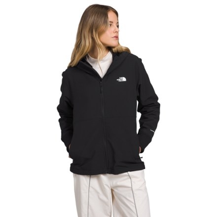 The North Face Shelbe Raschel Hoodie - Women's 0