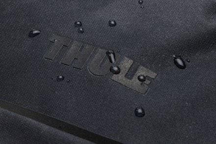 Thule Aion Carry-On Spinner Wheeled Luggage 1