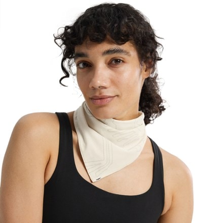 Arc'teryx Sinsolo Bandana 4