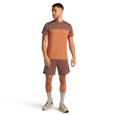 Icebreaker Merino Blend 125 Cool-Lite Sphere Color Block T-Shirt - Men's 2