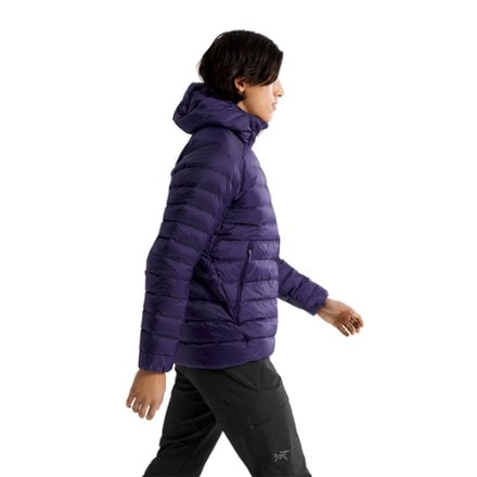 Arc'teryx Cerium Down Hoody - Men's 4