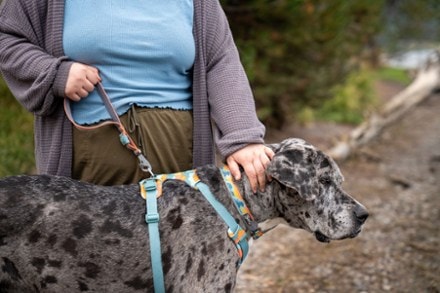 Ruffwear Front Range Short Leash Harness not included (SPRING FADE)