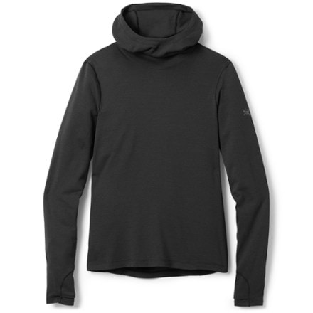 Arc'teryx Taema Thermal Hoody - Women's 0