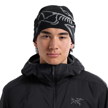 Arc'teryx Lightweight Bird Head Toque 1