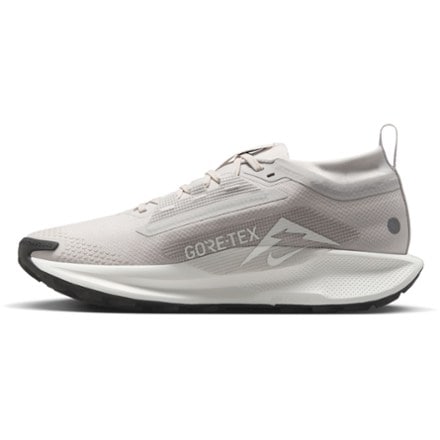 Nike Pegasus Trail 5 GORE-TEX Trail-Running Shoes - Women's 1