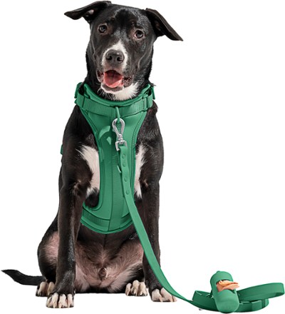 Wild One Waterproof Dog Leash Harness and poop bag carrier not included