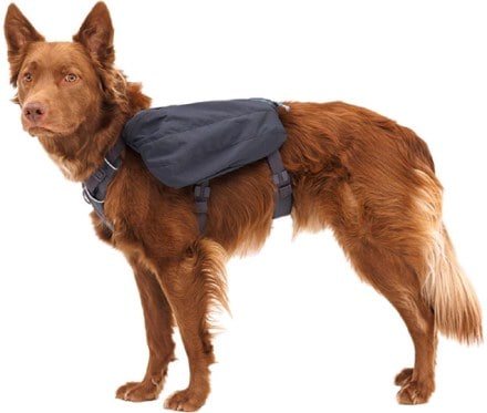 Ruffwear Front Range Dog Day Pack 5