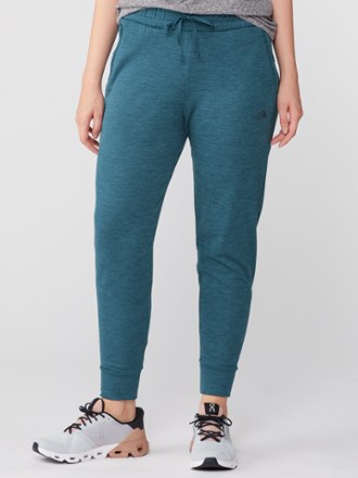 north face canyonlands jogger