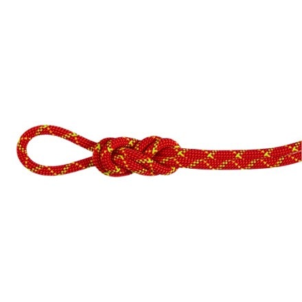 Mammut Alpine Core Protect Dry 8.0 mm Rope 0