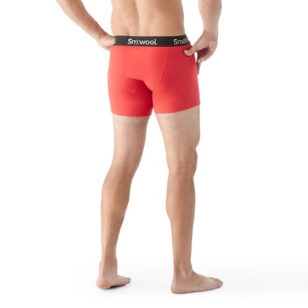 Smartwool Boxer Briefs - Men's 1