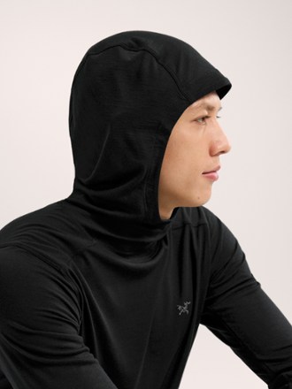 Arc'teryx Ionia Merino Wool Base Layer Hoodie - Men's 5