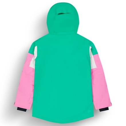 Picture Organic Clothing Haakon Insulated Jacket - Women's 4