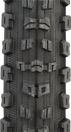 Maxxis Aggressor Dual DD Tire 1