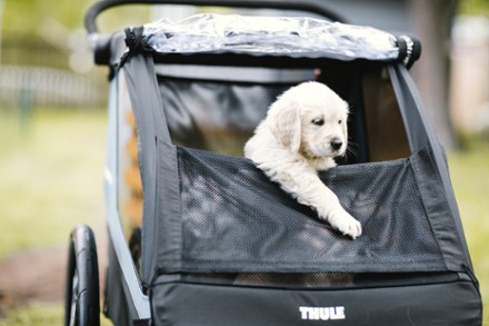 Thule Courier Dog Trailer Kit 7