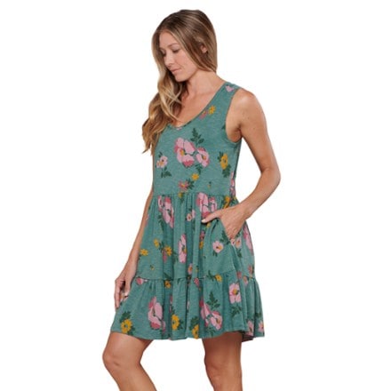 Toad&Co Marley Tiered Dress 2