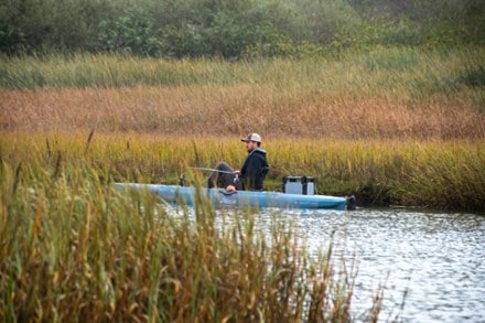 Location Image of color Seagrass