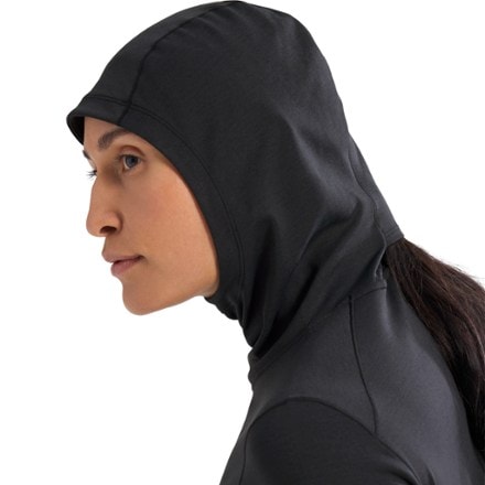 Arc'teryx Taema Thermal Hoodie - Women's 4