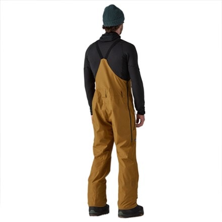 Patagonia Powder Town Bib Pants - Men's 2