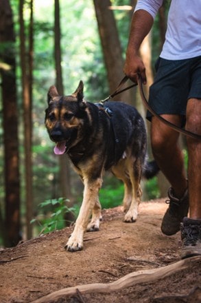 Ruffwear Front Range Leash 4