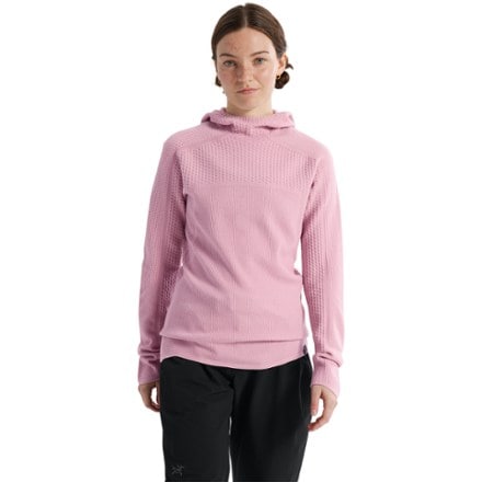 Arc'teryx Hallam Merino Wool Hoody - Women's 1