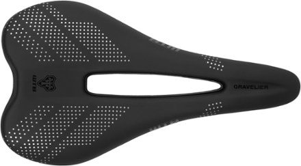 WTB Gravelier Saddle - Titanium 2