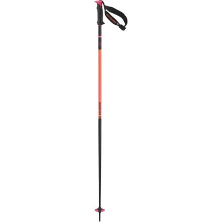 Salomon Polar Pro S3 Ski Poles - Pair 0