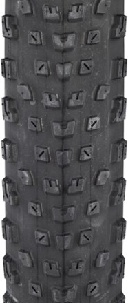 Rei discount maxxis tires