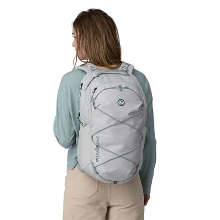 Patagonia Refugio 30L Pack 1