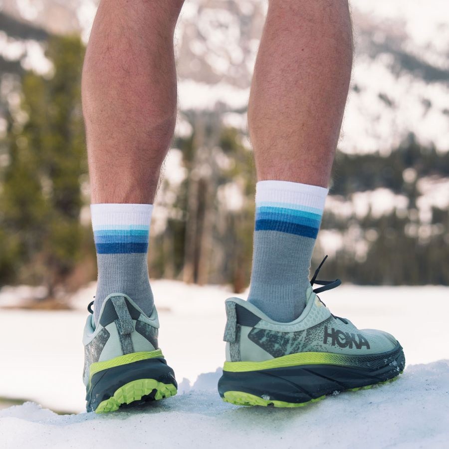 Location Image for Merino 10 Max Cush Mini Crew Socks